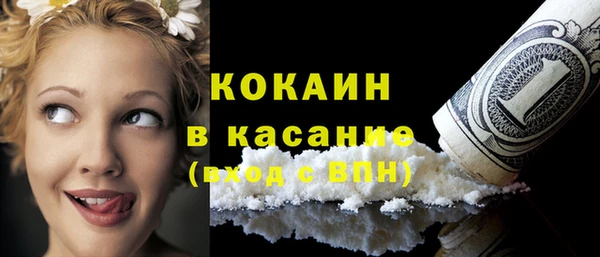 прущие грибы Аркадак
