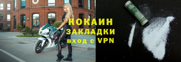 прущие грибы Аркадак
