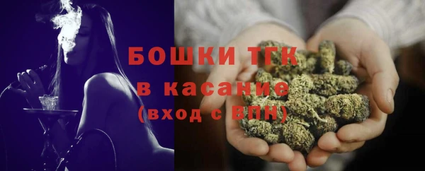 прущие грибы Аркадак