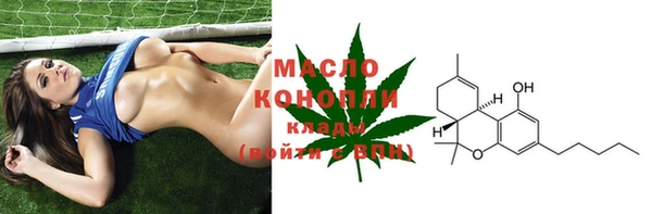 прущие грибы Аркадак