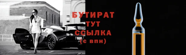 прущие грибы Аркадак
