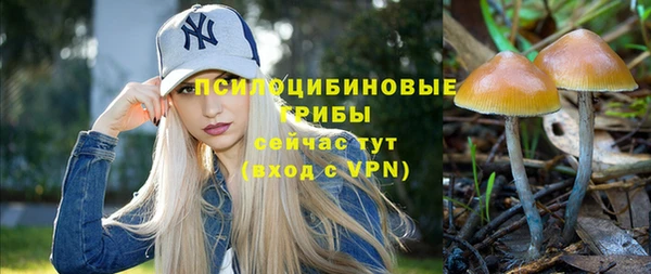 синтетический гашиш Арсеньев