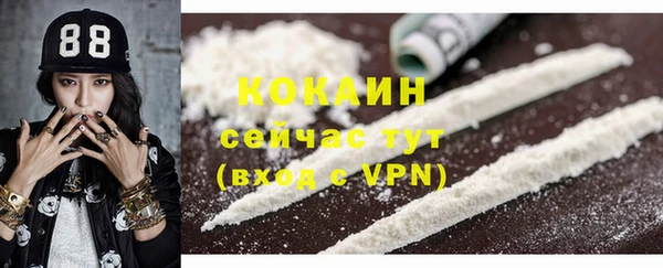прущие грибы Аркадак