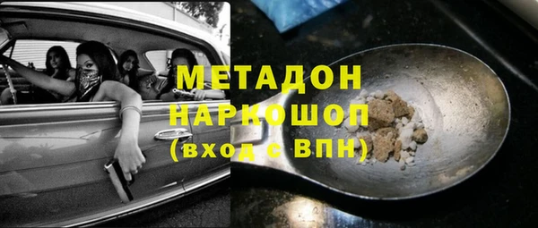 прущие грибы Аркадак