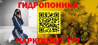 шишки Будённовск