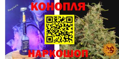 шишки Будённовск
