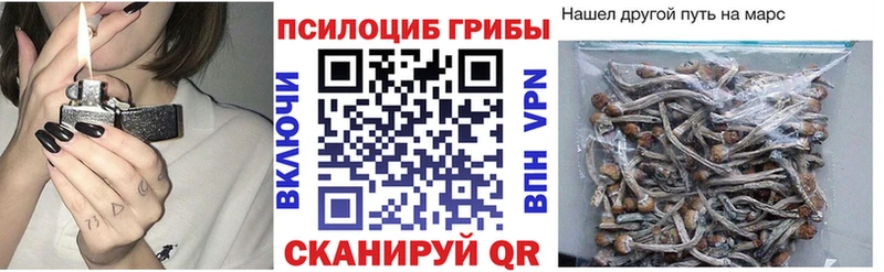 наркотики  сайты даркнета клад  Галлюциногенные грибы ЛСД  Белорецк 
